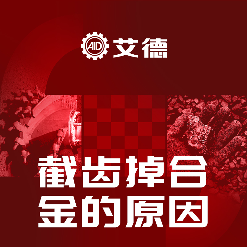 1733711581791469.jpg 2.jpg