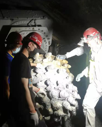 陕煤集团某矿- 面对F13级以上超硬岩，效果远超预期