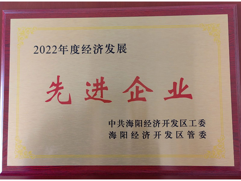荣获“2022年度经济发展先进企业”荣誉称号