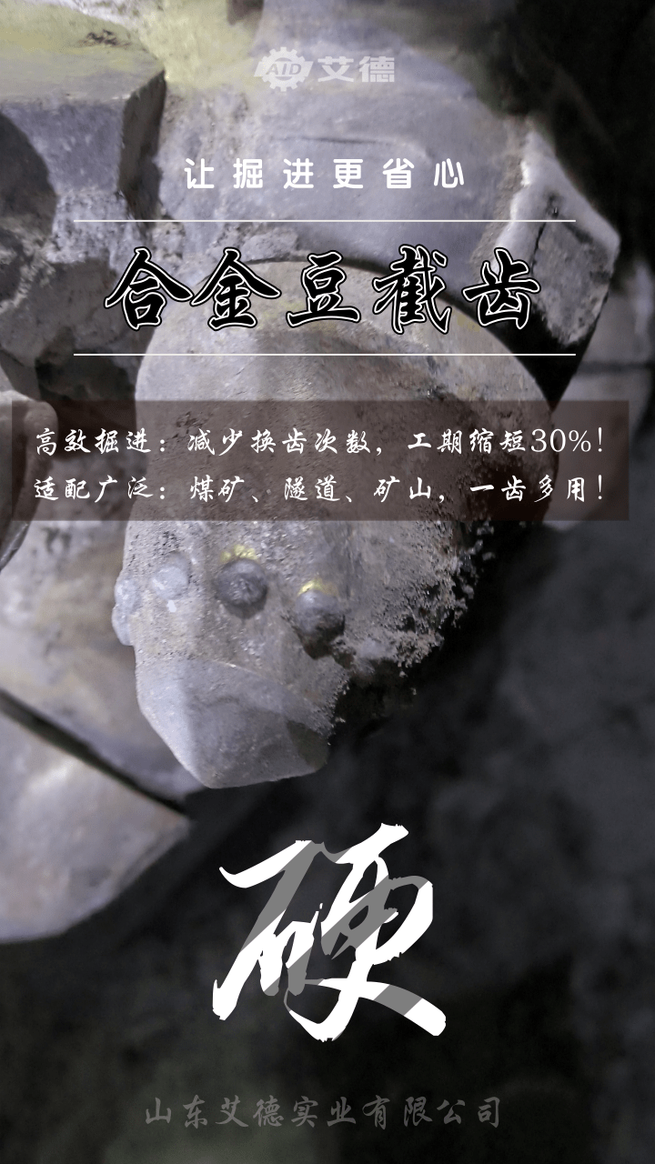 国产截齿 合金豆截齿 